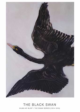 Black Swan Painting