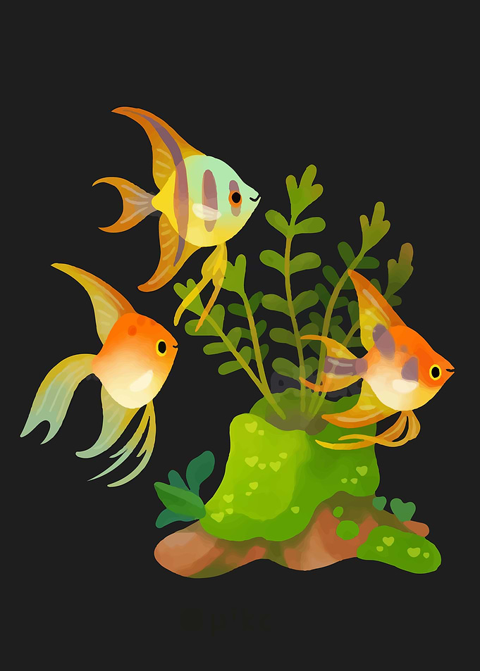 Cute Manfish