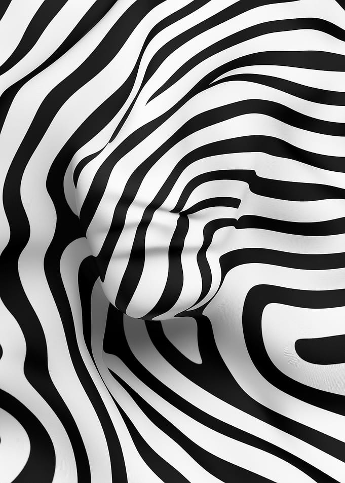 Abstract Zebra Stripes
