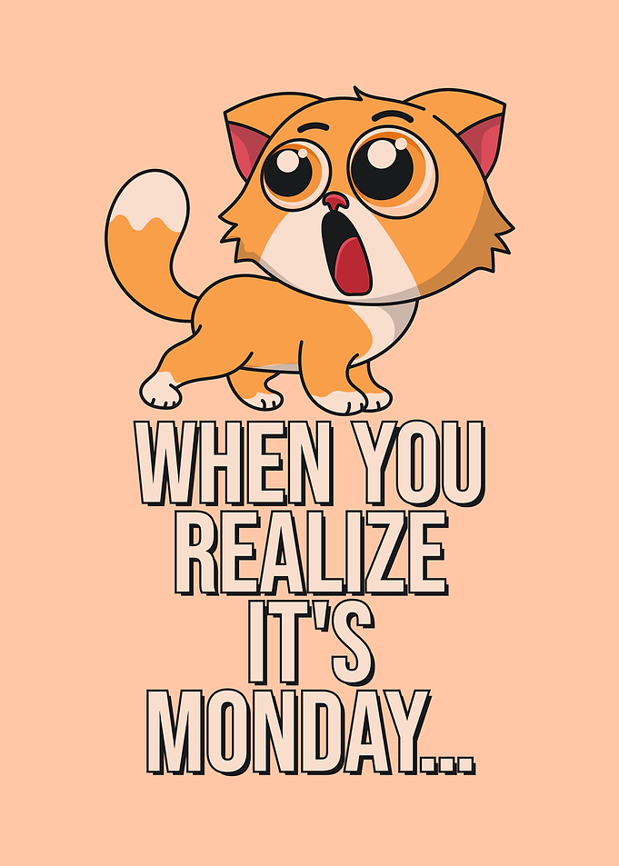 Cute Cat's Monday Shock Moment