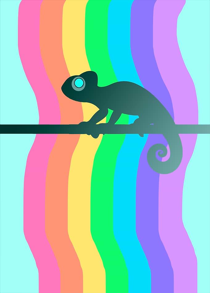 Chameleon on Rainbow