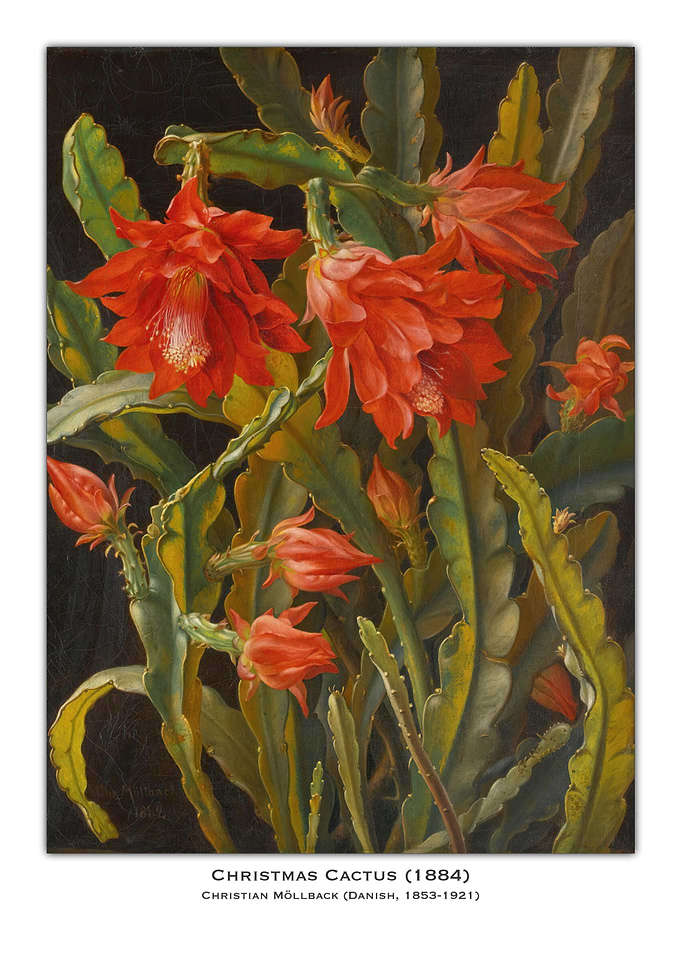 Christmas Cactus Painting
