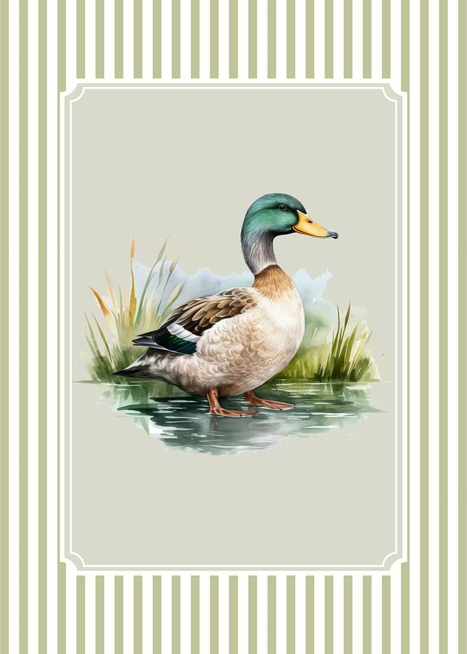 Mallard Duck Watercolor
