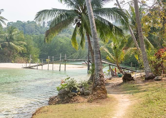 Tropical Island Bridge