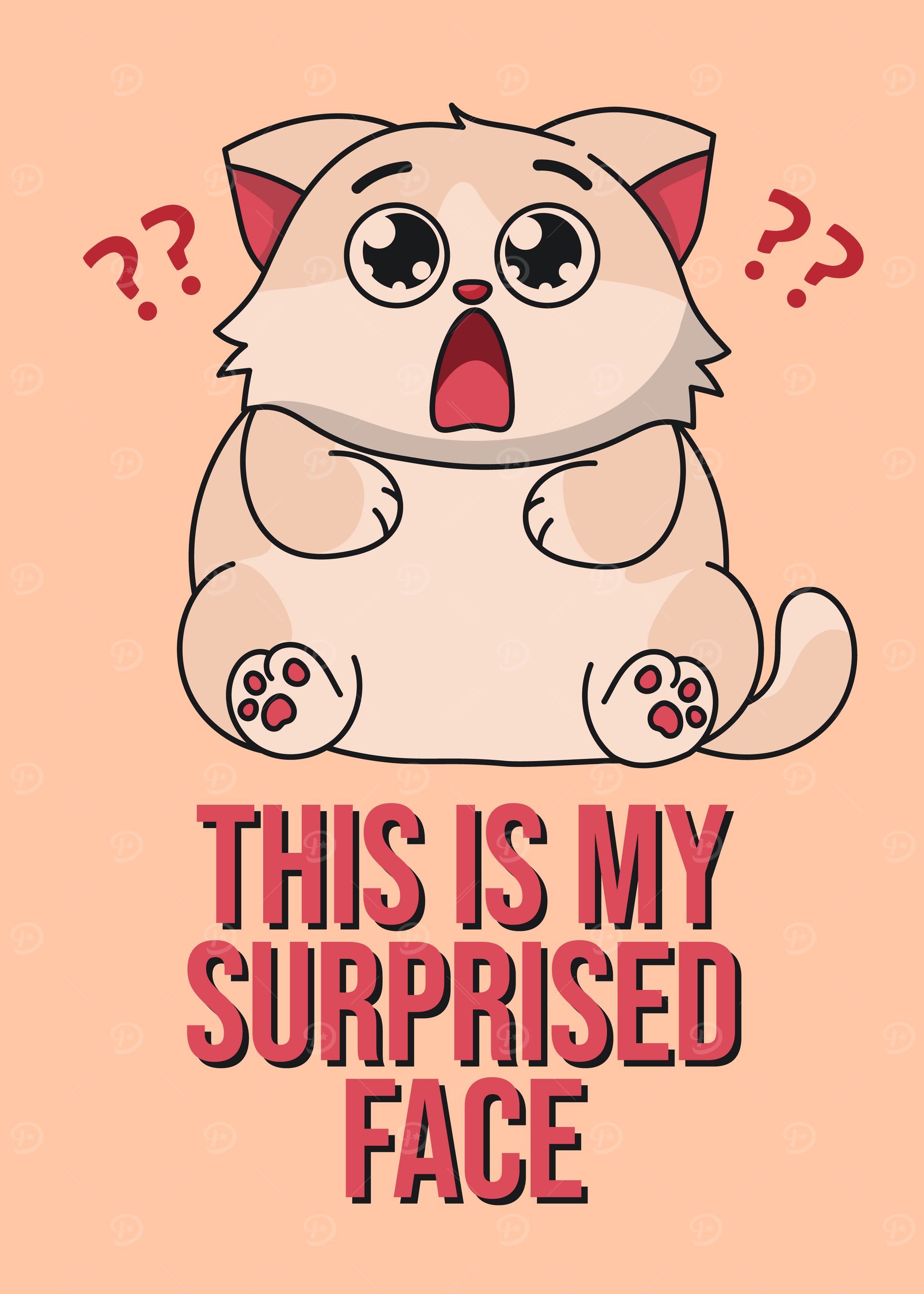 Surprised Cat Meme