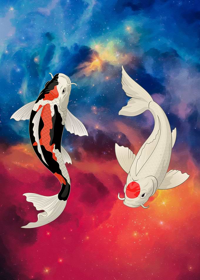 Koi Fish in Space