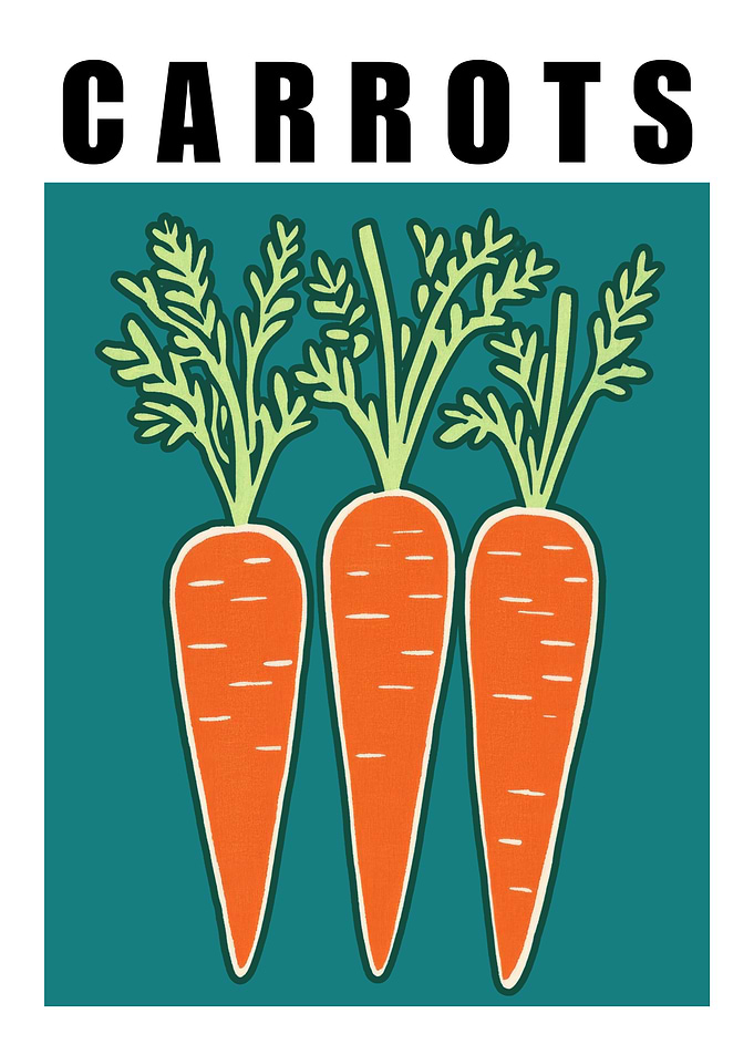 Carrots Minimalist Vegetable Kitchen Art Print