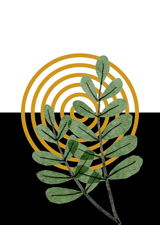 Green Leaves and Gold Circles