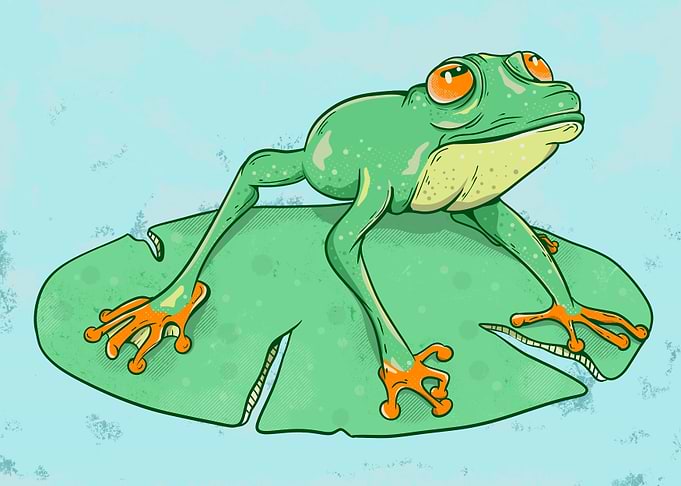 Green Tree Frog on Leaf