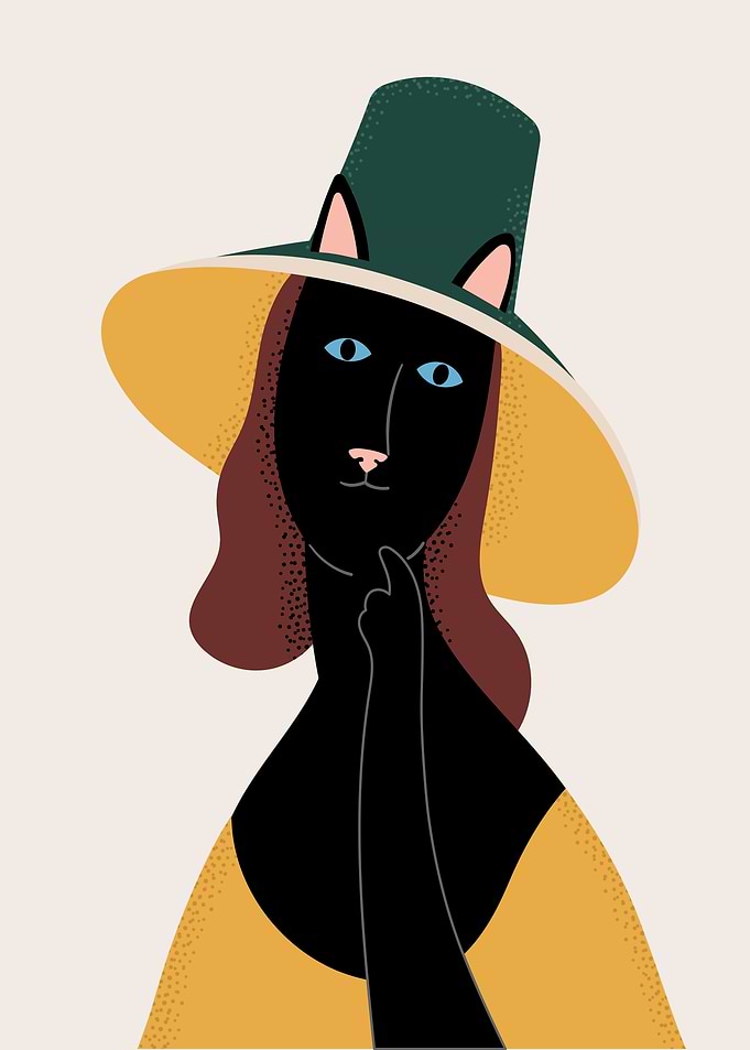 Cat in a Hat