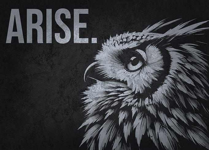 Arise, Owl - Gym, Hustle, Motivational