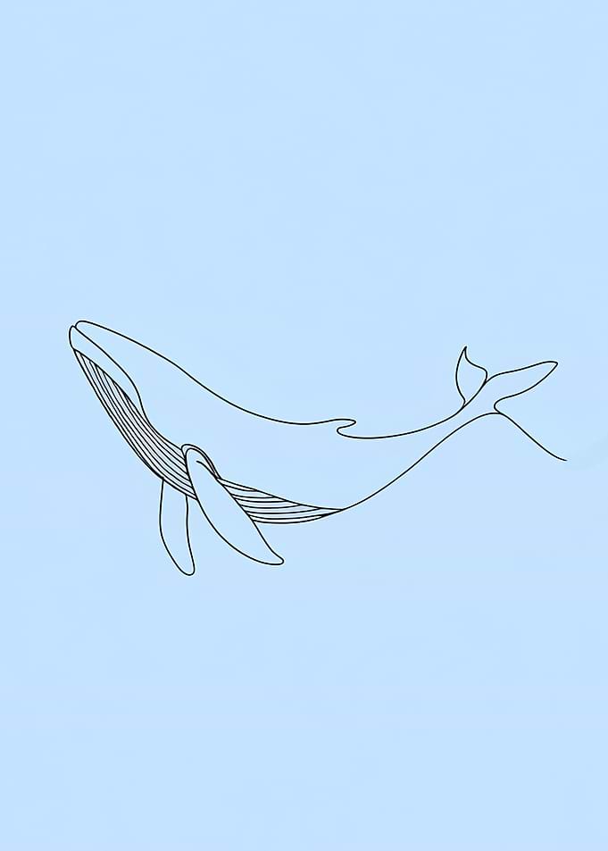Whale Line Art