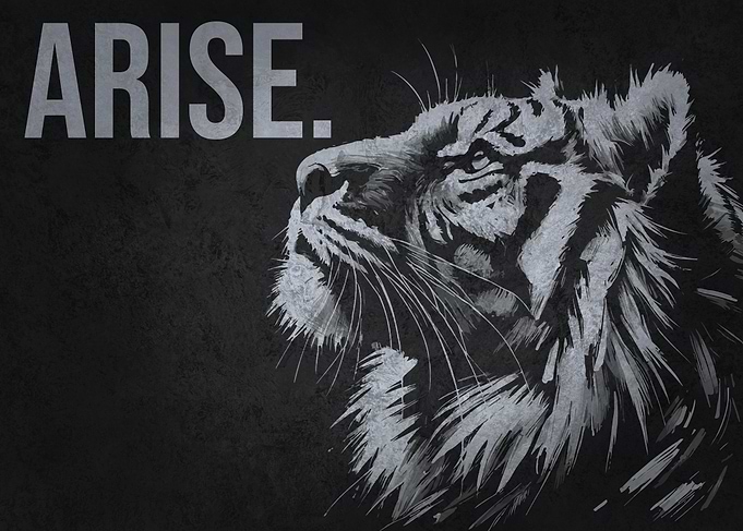 Arise, Tiger- Gym, Hustle, Motivational