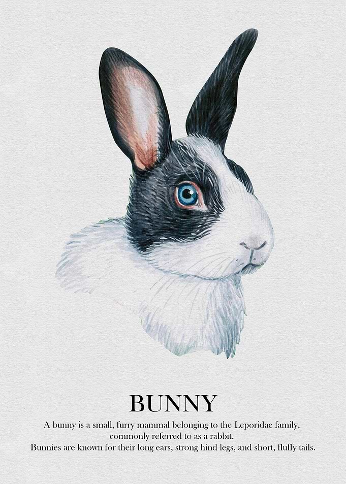 Black and White Bunny Watercolor