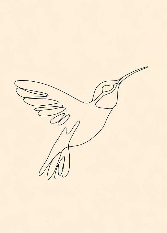 Hummingbird Line Art