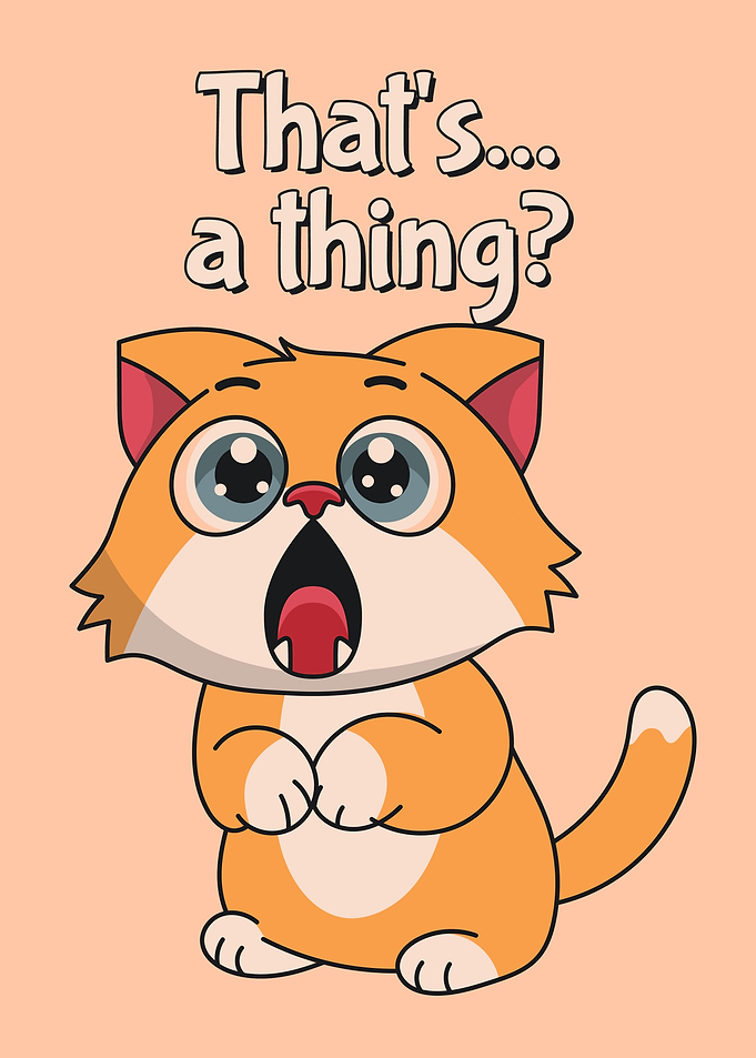 Surprised Cat Meme