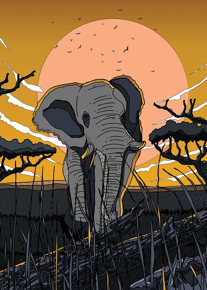 Elephant In The Savannah