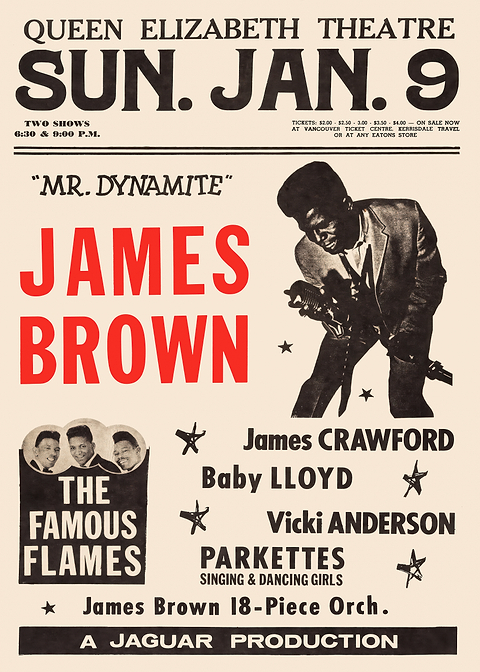 James Brown Concert Poster — retro concert bill printed on metal
