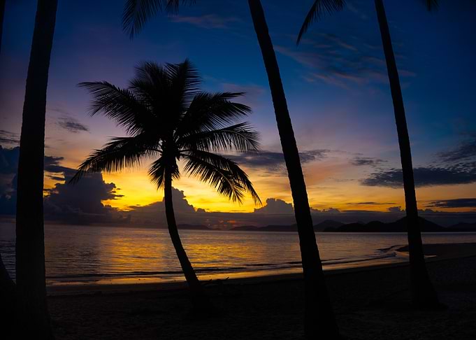 Tropical Sunset Silhouette