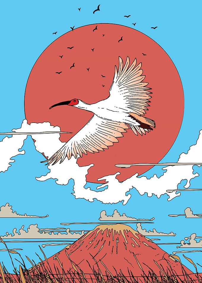 White Bird Flying Over Mountain