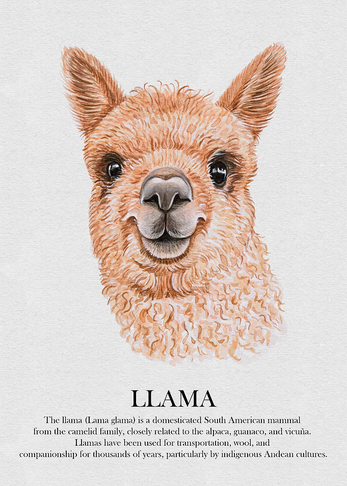 Llama Watercolor Portrait