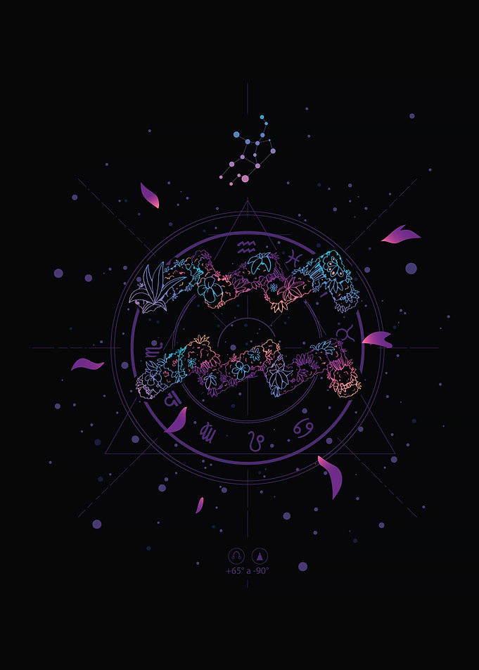 Floral Aquarius Zodiac Constellation
