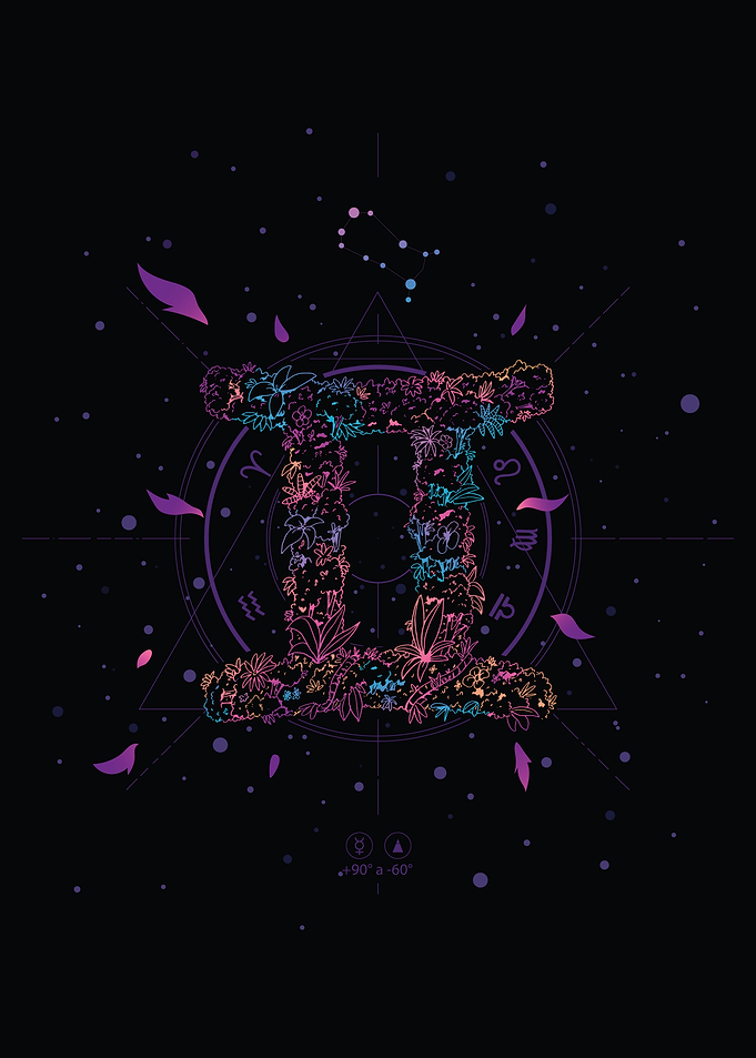 Floral Gemini Zodiac Constellation