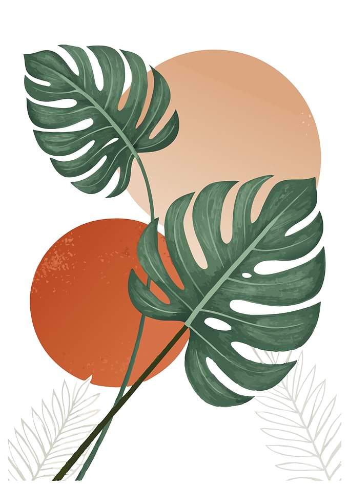 Tropical Leaf