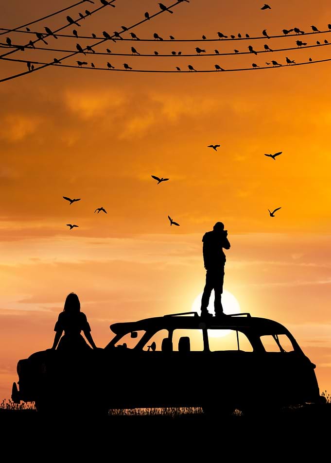 Watching the sunset
