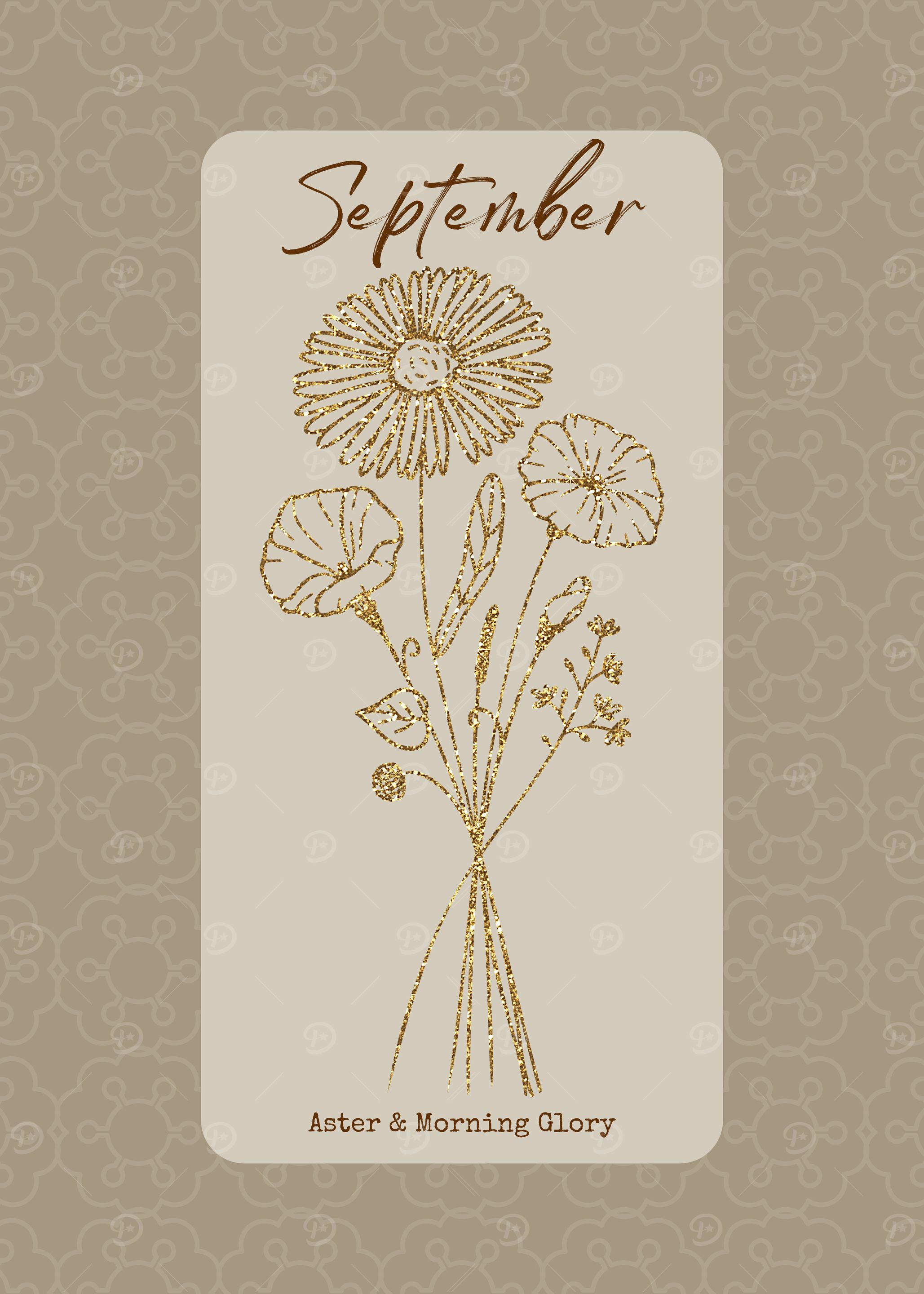 September Birth Month Flower Aster and Morning Glory