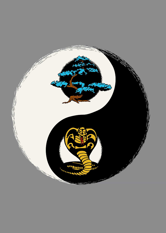 Balance Dojo