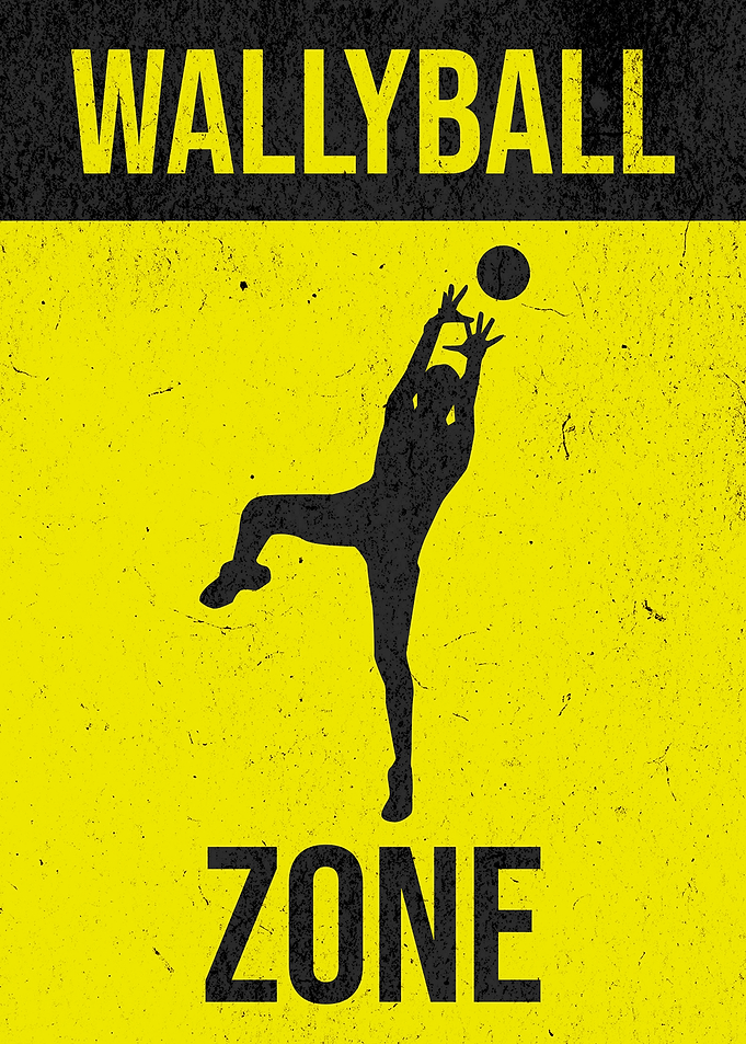 Wallyball Zone Setting Silhouette