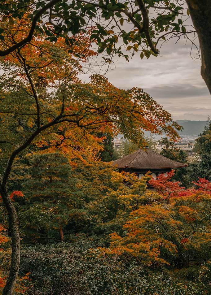 Japanese Temple in Kyoto in Autumn