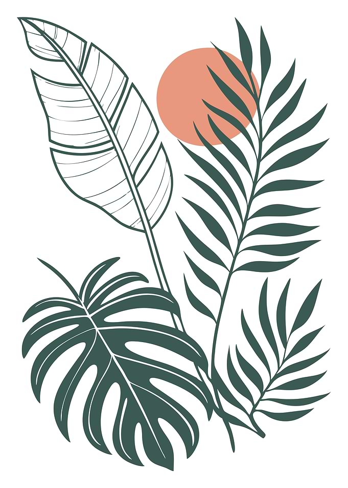 Tropical Leaf