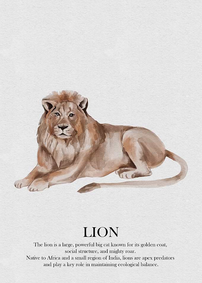 Watercolor Lion Illustration