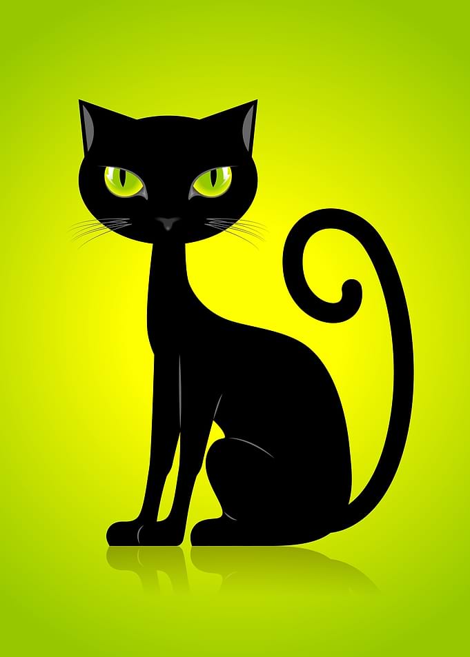 Black Cat with Green Eyes
