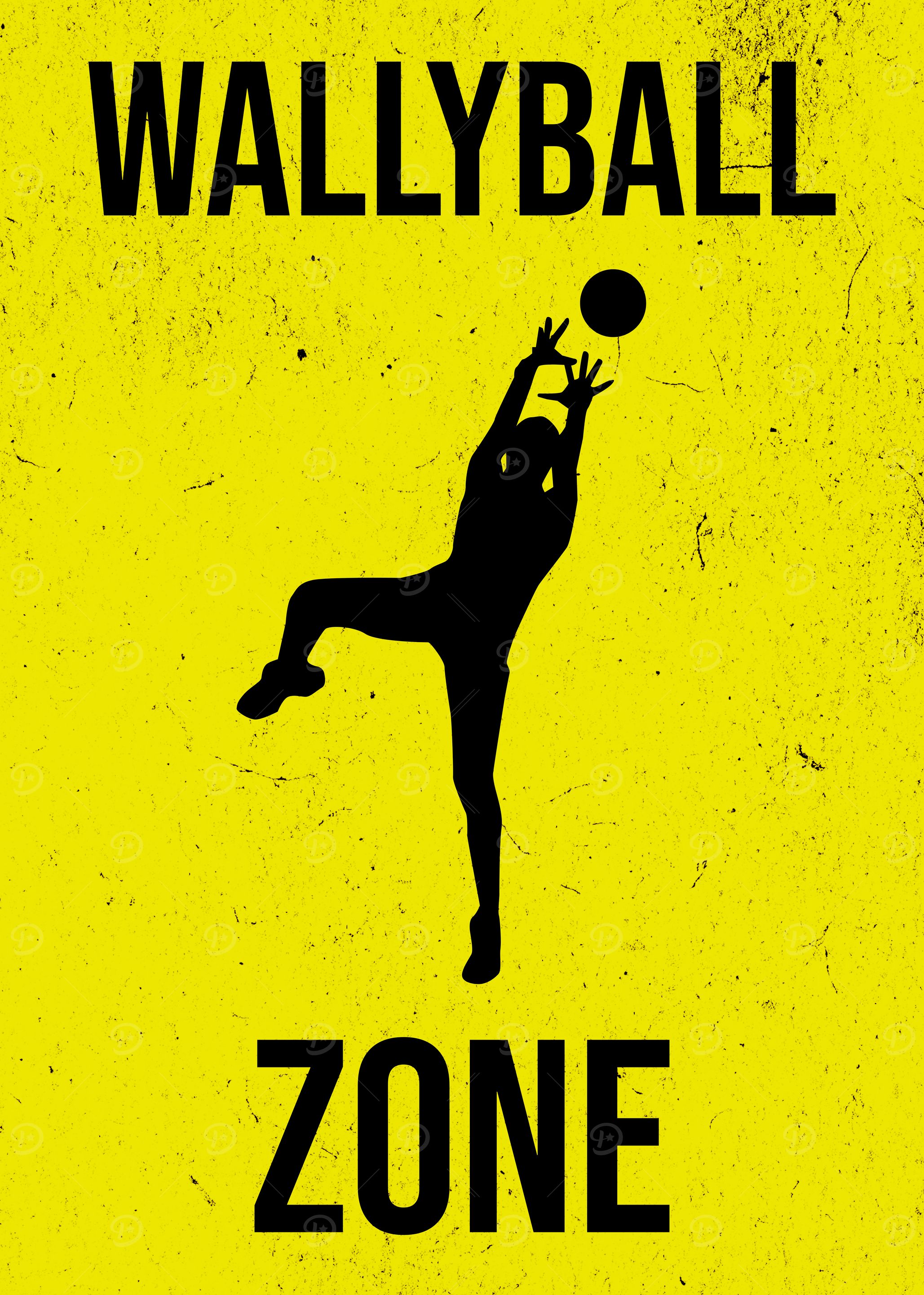 Wallyball Zone Setting