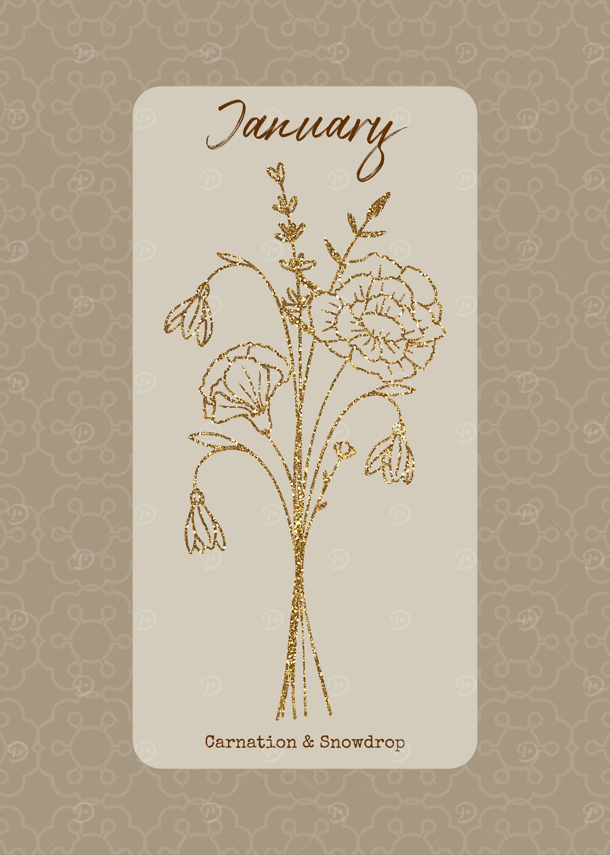 January Birth Month Flower Carnation and Snowdrop