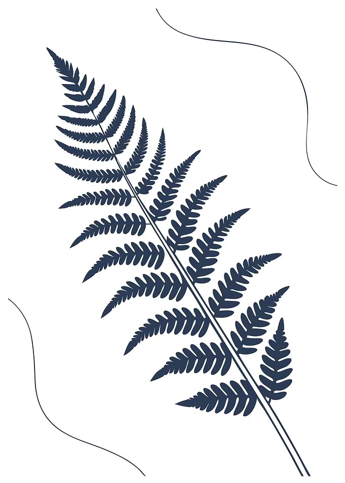 Fern Silhouette