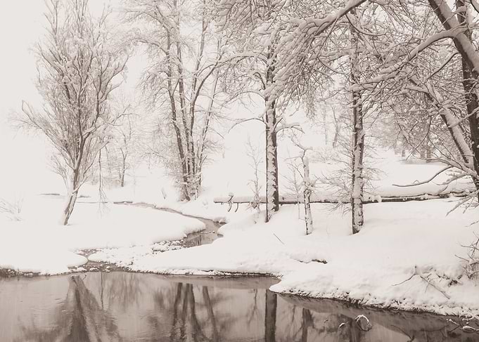 Snowy Creek in Winter