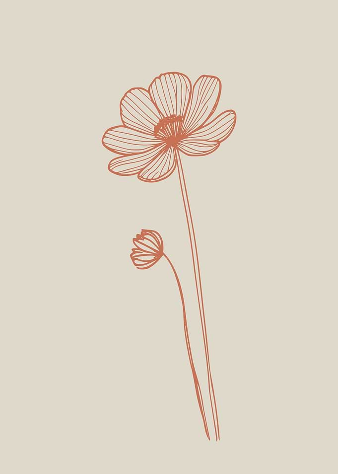 Delicate Wildflower Line Drawing in Rust