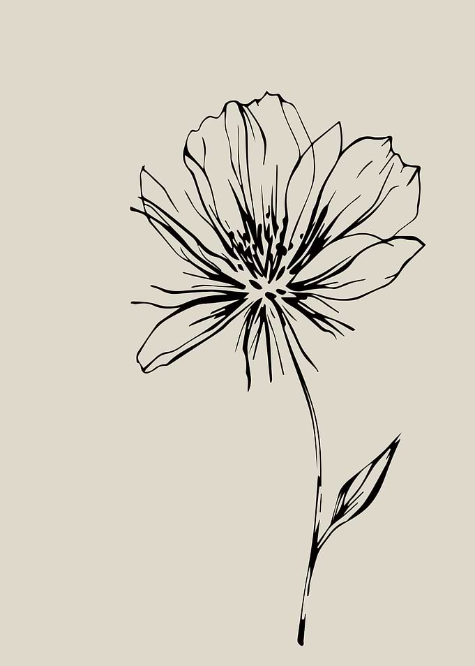 Minimalist Black Ink Wildflower Sketch