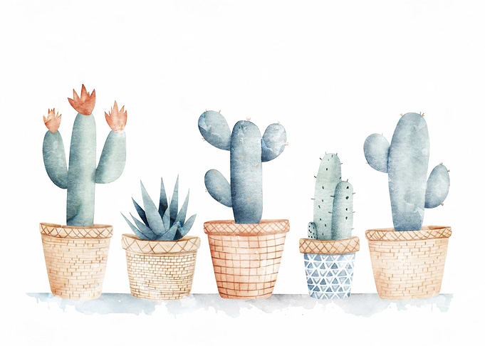 Watercolor Cactus Collection