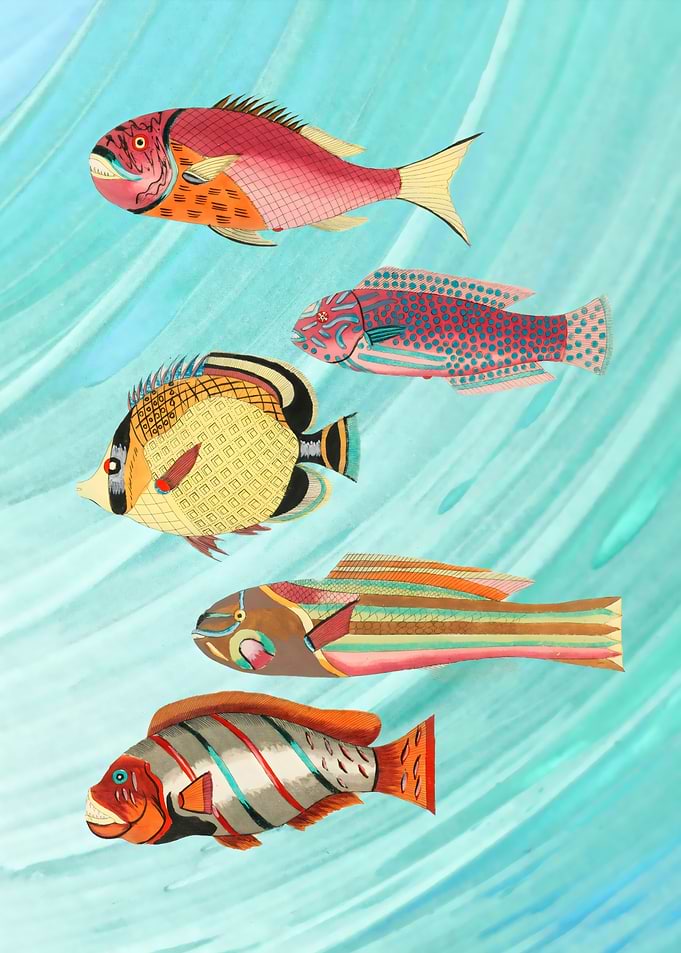 Colorful Fish Illustration