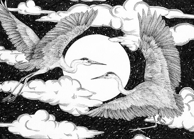 The Heron's Midnight Dance