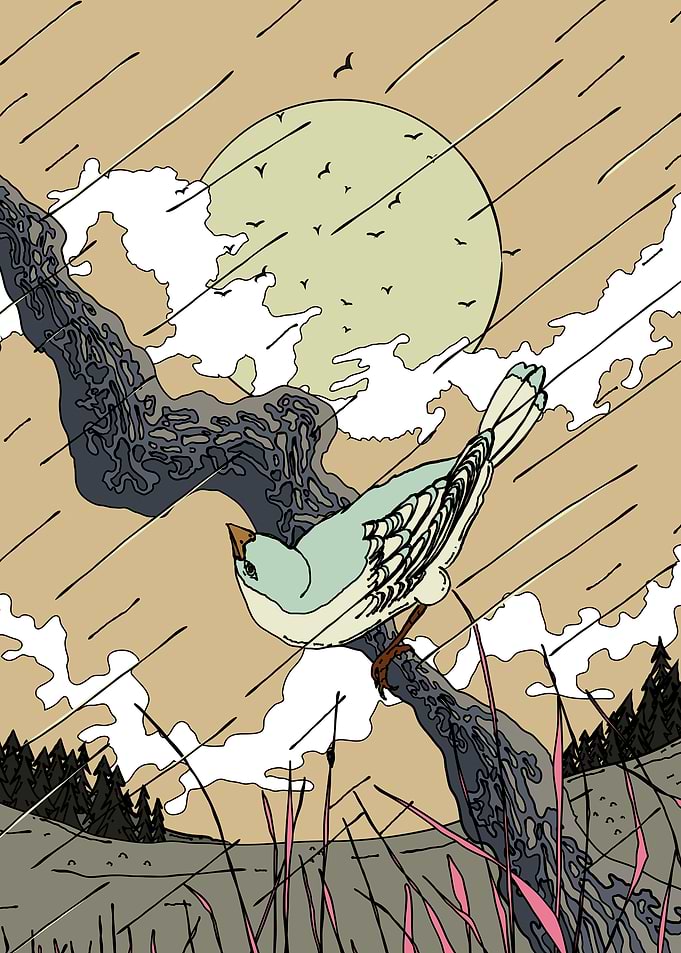 Bird in Stormy Sky