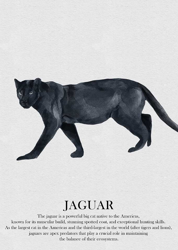 Jaguar Watercolor Illustration