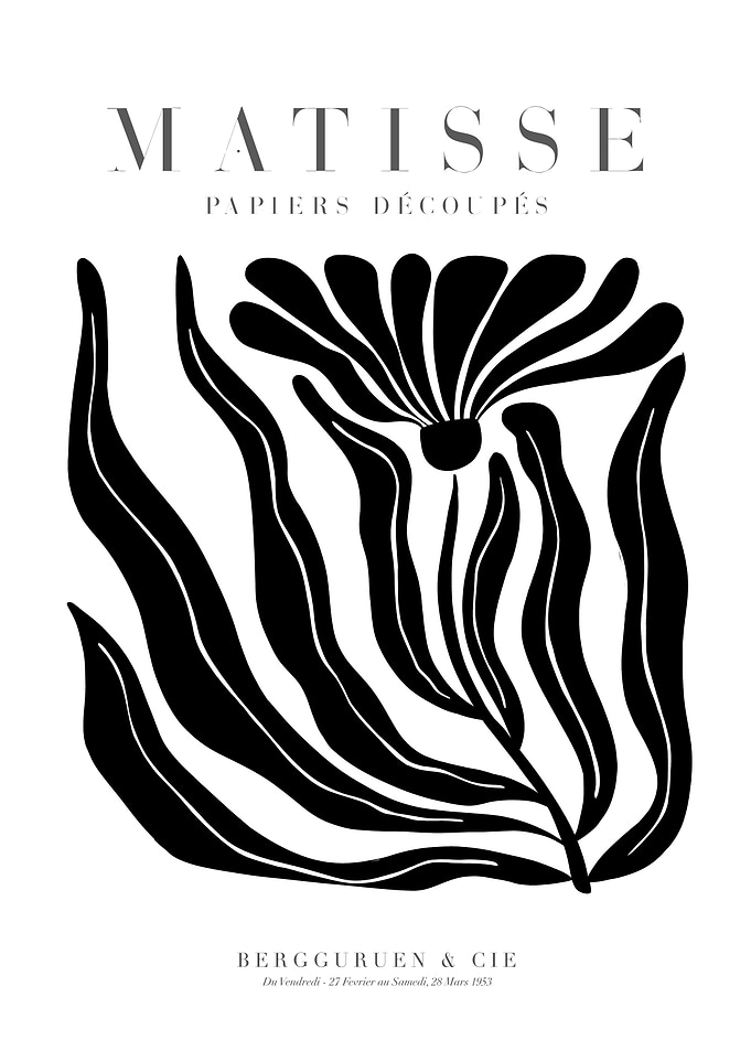 MATISSE FLEUR NOIRE