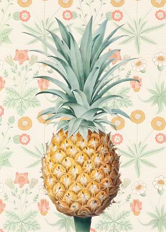 Pineapple