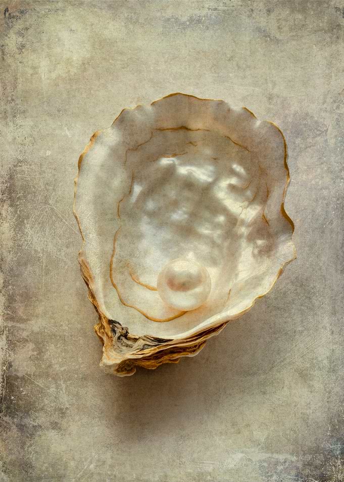 Pearl in Oyster Shell